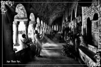 /album/fotogaleria-fotos-b-n/mg-8998-inpixio-640x480-jpg/